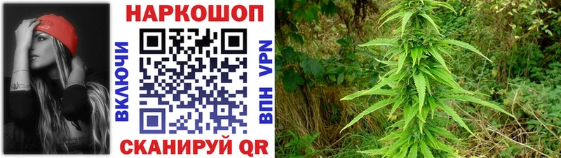 Какие есть наркотики Шиханы Гашиш  Канабис  COCAIN  БУТИРАТ  Меф мяу мяу 