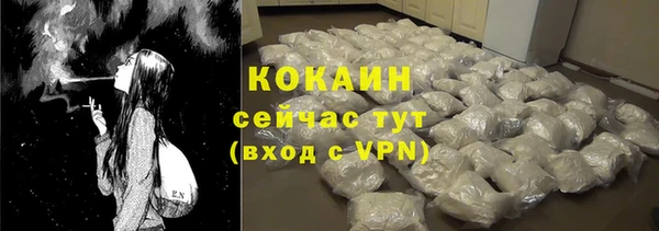 стаф Абаза