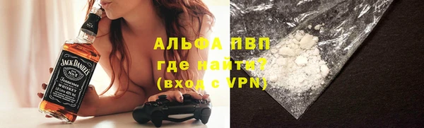 стаф Абаза