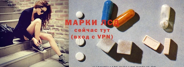 стаф Абаза